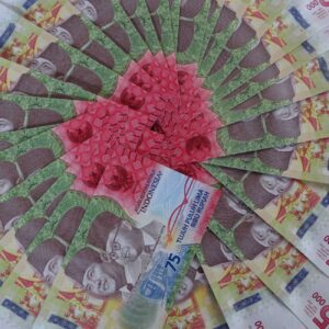 NPCI sambut positif dukungan anggaran multiyears untuk pelatnas