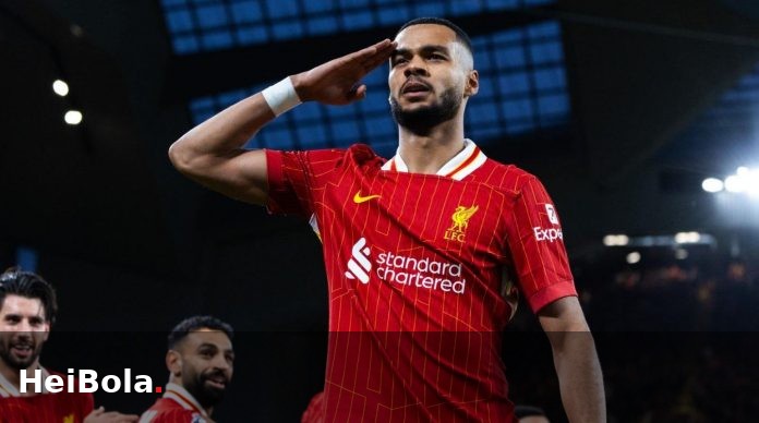 Liverpool Tetapkan Harga Tinggi untuk Cody Gakpo